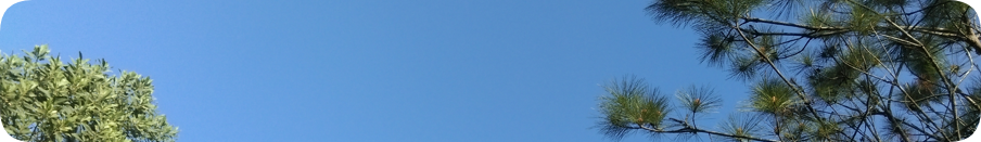 钓鱼岛大学毕业证查询股东查询网